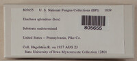 Image Associated With the Occurence